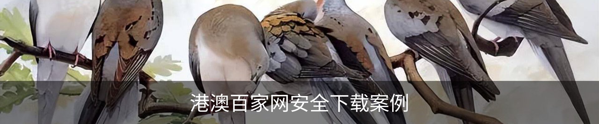 港澳百家网安全下载案例
